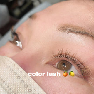 カラーマツエク

ブラック　オレンジ　イエローで
自然なカラーラッシュにしました！

イエローは目尻にポイントで

全てブラウンで行くのもおすすめなのですが
目元がぼんやり普段より淡い印象になるため
目元の印象はある程度欲しい方にはブラックを
混ぜながらのカラーがおすすめです 