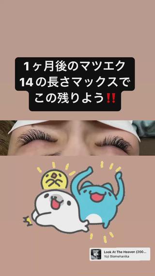 マツエク・マツパ Pua Meliaのマツエク・マツパデザイン