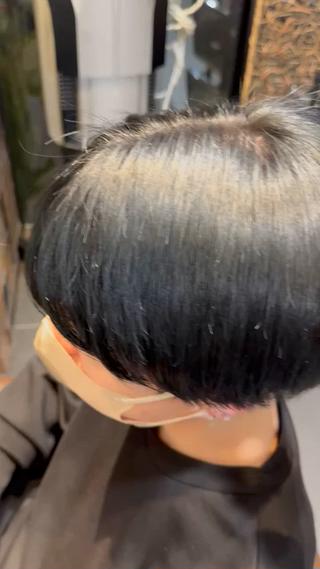 ブルーブラック×シースルーマッシュ