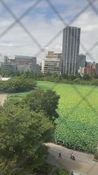 サロンから見た景観です

Dione上野店は8階にあり、
お天気の良い日はとても眺めが良く、
通われてるお客様もお写真を撮られるほど

ぜひ非日常感を味わいにご来店下さいませ 