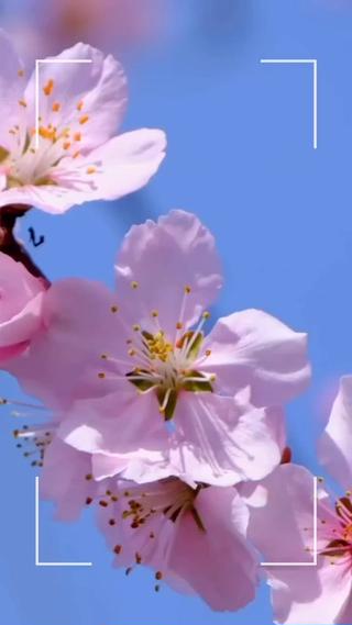 春の5K

乾燥
寒暖差
強風
黄砂
花粉


春の5Kはお肌の大敵です
これらに負けないお肌を作るには･･･
普段ケアしきれない部分をエステで補う
ご自宅でのスキンケアをしっかりと行う
など、できることはたくさんです♡


なにからはじめよう..？
そう思った方は、ぜひお問い合わせください
 