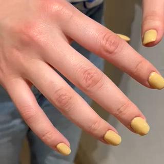 マスタードカラー 