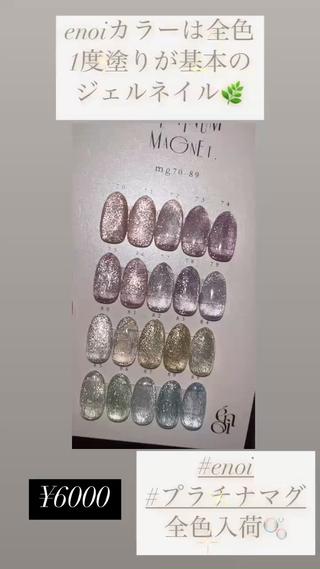 enoiプラチナマグ 