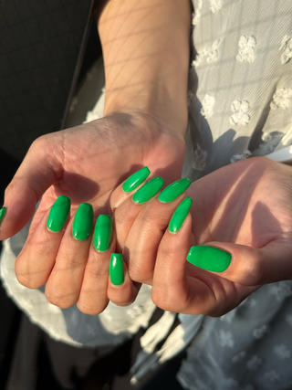 鮮やかグリーン



ST148M 