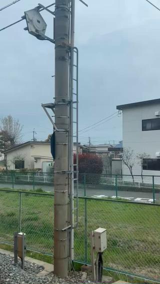 桜も終盤
2025夏婚をお迎え花嫁様
そろそろご準備しませんか