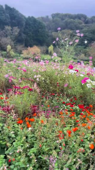 小顔コルギ＆よもぎ蒸しサロンLINKA所属・小顔＆美肌 サロンLINKAのエステ・リラクイメージ