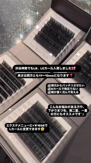 Lカール入荷しました 