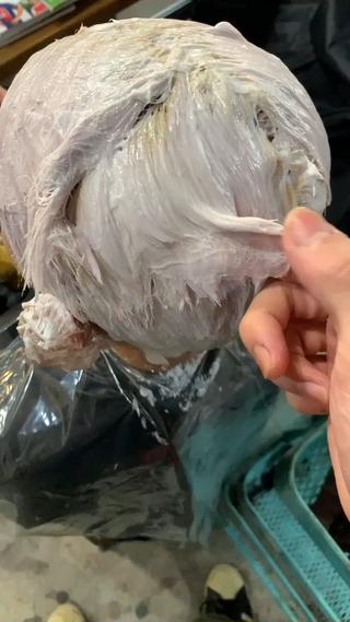 もし一度のブリーチで難しい場合はどうすればその色味に近づけられるのか、今回はどう言う色にするかなど親身にカウンセリングさせて頂きます

▼何度でも同額で使えるクーポン多数掲載中

ご新規様もクーポンからご予約可能です。

2回目のお客様も【何度でも使えるクーポン】ご覧ください。

▼リファ取り扱いサロン
▼コタ取り扱いサロン
▼ミルボン取り扱いサロン


流行りのカラー
【韓国風】【中韓ヘア】【ハイトーン】などトレンドを発信しております

何でもご相談ください！ 