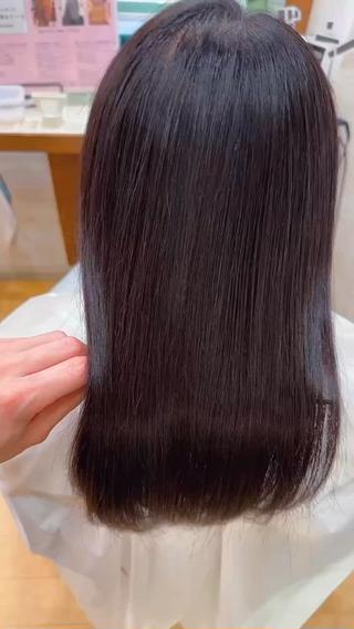 セミロング 艶髪クリエイター🪽 秋田 聖也のヘアスタイル