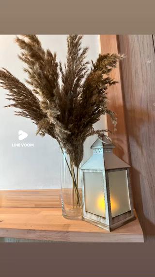 みなさんこんにちは

11月ですね、サロンも
#パンパスグラス 
飾り秋らしい雰囲気になりました(๑˃̵ᴗ˂̵)
しかもブラウンの

毎年欲しかったのですが、けっこうお高いのと
こんな枯れススキがけっこうする
と思いつつ

ご来店お待ちしております 