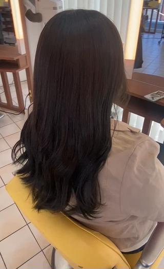 セミロング カラー ヘアアレンジ 🌱エシカル🌱 松原大将のヘアスタイル