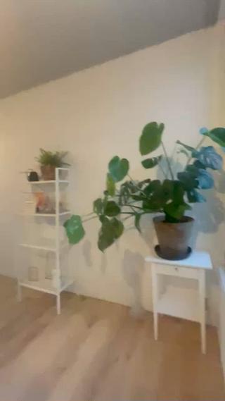 清潔感のあるサロンにて
リラックスしながら
よもぎ蒸しで温浴をし血流を良くした状態での
小顔矯正はとても効果的です 