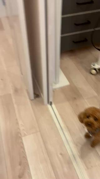 ご新規様ご来店ありがとうございました 