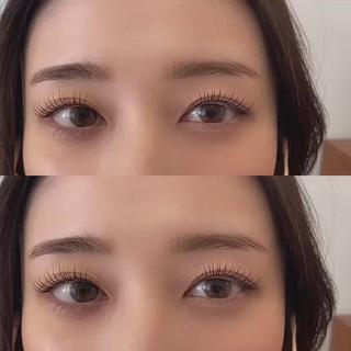 ラッシュリフト立ち上げ 