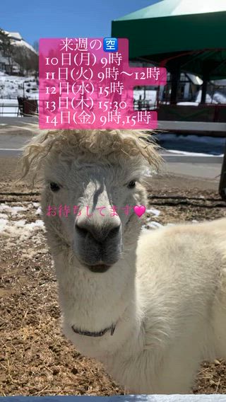 来週の空アップしました

・バリニーズマッサージ&クリームバス

・バリニーズマッサージ&バリニーズフェイシャル

大好評いただいてます

環境が変わって新しい生活に慣れた頃にお肌のトラブル、お身体の部分的な痛みに悩んでいる方増えてます

お肌、お身体悲鳴をあげてる方、
ぜひ駆け込みサロンとしてご利用ください

バリニーズマッサージは筋肉の深部までほぐしていきます。
今までオイルマッサージを受けても物足りなかった方、一度本場のバリニーズマッサージ受けてみてください 