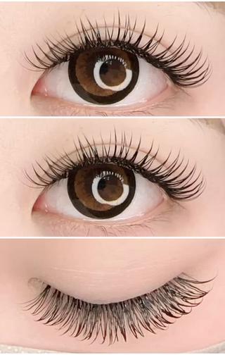 太さ0.2
片目40束でこのボリュームと綺麗な仕上がり♡⃛
如何でしょうか？♡⃛ 