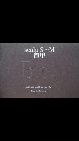 スカルプS-M
鼈甲 