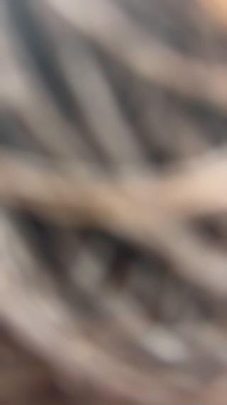 ミディアム パーマ メンズ 武井 竜輝のヘアスタイル