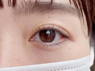 パリジェンヌラッシュリフト上下 