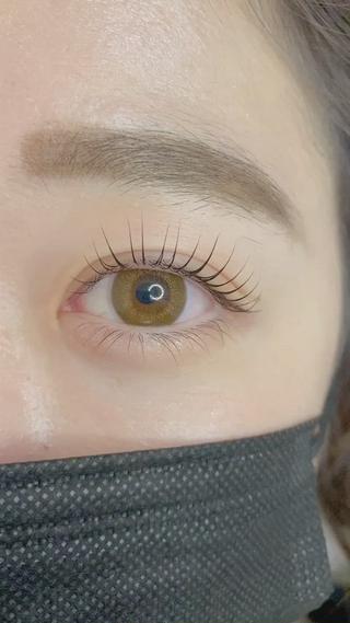 立ち上げカール