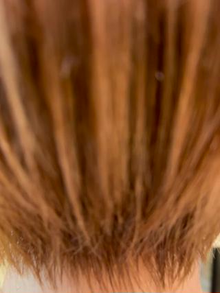 ショート ショートボブ/ 無料カット/荒砂のヘアスタイル