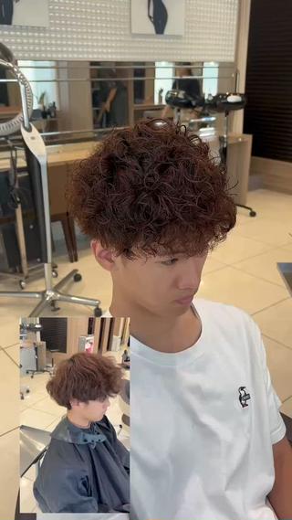 プードルパーマ 