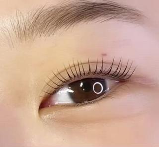 ヒト幹細胞まつ毛パーマ