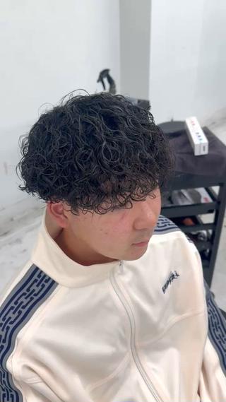 プードルパーマ 