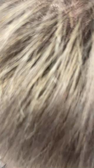 レディース・メンズ・カラー・縮毛矯正モデル大募集
.
.
.
.今ならなんと！50%OFF！！
.お気軽にDMまで
.
.
.
. . .お知らせ
.
レディース・メンズ・カラーモデル、ストレートモデルを大募集中
.
.料金は全て【今だけ】50%OFF
. 
.
通常価格がなんと
.
.【カラー料金】
.

☆ ベリーショート¥4000→【¥2000】
☆ 耳まで　¥ 4500 → 【¥ 2250 】
☆ あご　¥ 5500 →【¥2750 】
☆ 鎖骨¥6500 → 【¥3250】
☆ 胸¥7000 → 【¥3500 】
☆ 腰¥10000→【¥5000】

改善トリートメント ¥2000〜
ブリーチありの場合　＋1000円
 (ケアブリーチ　+1000円)



arose 久留米店

TEL 0942-38-6550

住所-〒830-0023 福岡県久留米市中央町３−１１ 南東 ブランビル ２階

-Open-
平日　10:00〜20:00
日曜　10:00〜18:00
.
-close- 毎週月曜 