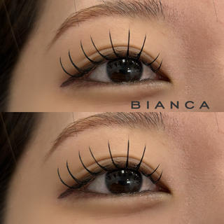 フラットラッシュ 100本 0.2mm cute
10-11-12-11-10 