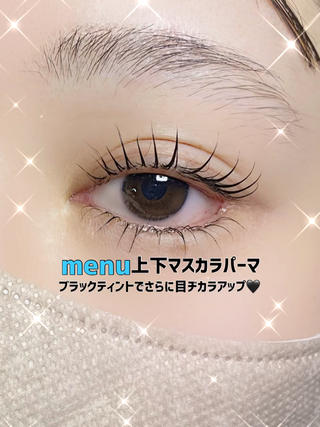 上下ラッシュリフト
ブラックティント無料 