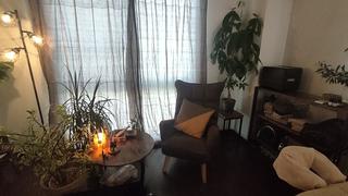 リンパトリートメントMIZUTOKIです
サロン全景です
植物に囲まれてゆったりお過ごしいただけます 