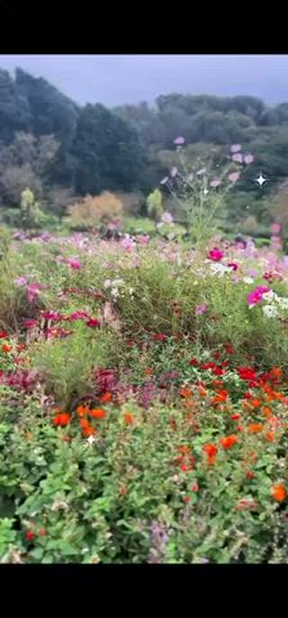 care court ALICE所属・無期限海外修行中 Alice名古屋脱毛のエステ・リラクイメージ