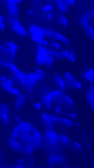 室内は青い光に包まれ、天井にはプラネタリウムの投影が広がります。
森林を思わせる香りとヒーリングミュージックに満たされながら、
大都会の一室で自然を感じられる特別な空間にこだわりました。

施術だけでなく、光・音・香りといった五感すべてを通じて深くリラックスしていただけます。
静かに心身を整える時間を、この空間で過ごしてみませんか。

ご予約は平日のお仕事終わりの時間帯が人気です。
限られた枠となりますので、気になる方はお早めにどうぞ。 