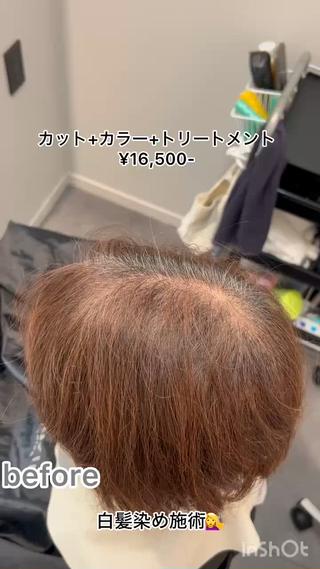 カット+カラー+トリートメント→¥16,500-

明るいカラーは白髪がボカシにピッタリですが、ツヤが失われるのが欠点ですね

歳を重ねるとお顔のクスミも気になってきて、(お肌のお色にもよりますが)明るい髪色だとよりくすんで見えたり…

暖色系のツヤカラーでは、お肌のトーンアップ効果、ツヤツヤの髪色により髪の毛の若見えを可能にしてくれます

 