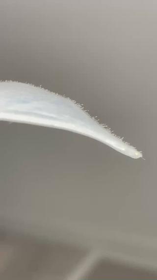 お顔の産毛は約20万本！
スキンケアの浸透わ妨げたり、お化粧ノリが悪い原因になっていることも…

 