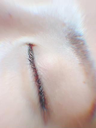 #札幌マツパ #札幌マツエク #札幌ラッシュリフト #大通ラッシュリフト #札幌セーブルエクステ #札幌アイラッシュ #大通アイラッシュ #札幌lashlift #札幌まつぱ #大通マツパ #すすきのマツパ #札幌まつ毛パーマ #大通まつ毛パーマ #すすきのまつ毛パーマ #札幌ナチュラルまつエク #札幌まつエクナチュラル  