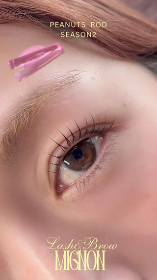 マツエク・マツパ Lash&Brow Mignonのマツエク・マツパデザイン