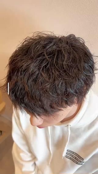 ショート パーマ メンズ カイト/ヘアカラー /メンズヘアのヘアスタイル