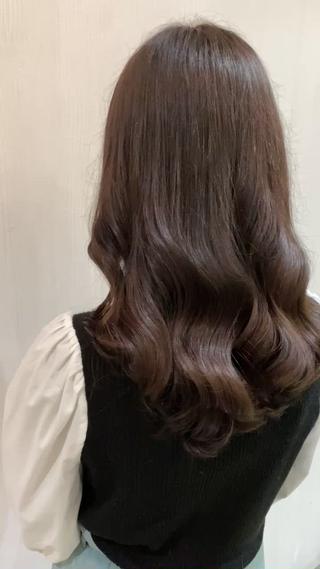 チョコレートカラー