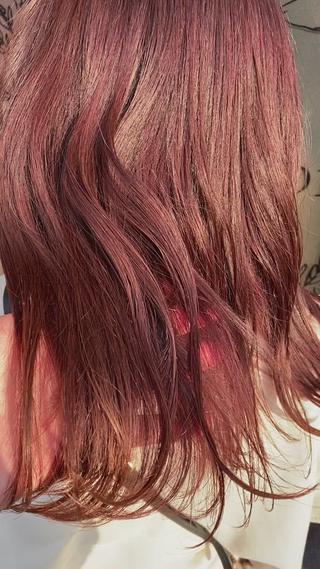 アルティストカラー 