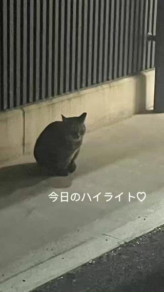 ZELE　大和八木所属・坂口 歩美のヘアスタイル