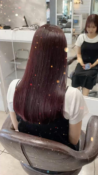 ダブルカラー　ワインレッド 