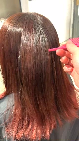 セミロング カラー ウルフ・ハイレイヤー 🌟ナカノ・ユウヤのヘアスタイル