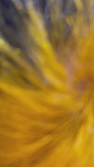 ツートンカラー 