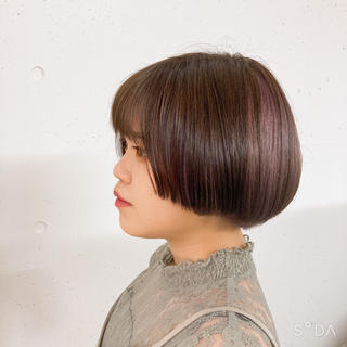 アポロカラー　チョコブラウンとくすみピンク 