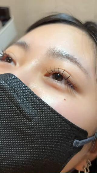 flat lash 160- dark × mauve pink
dカール 