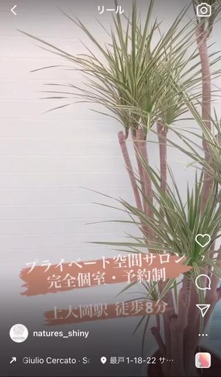 Nature's Shiny《上大岡》 