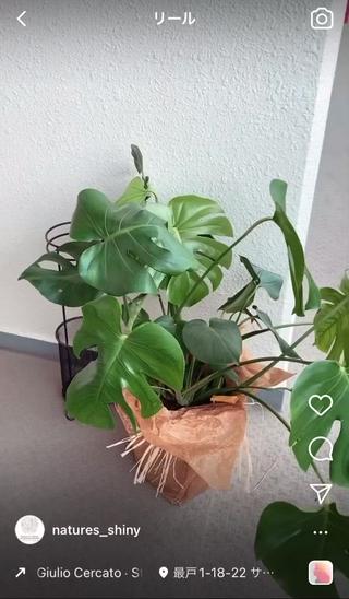 Beauty SalonNature's Shiny 