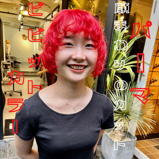 ショート 【ロングウルフカット 姫カット】伊藤裕哉のヘアスタイル